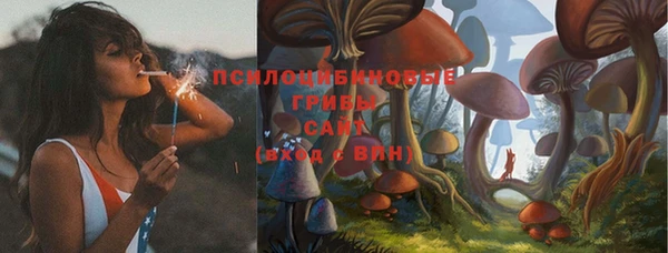 ешки Архангельск