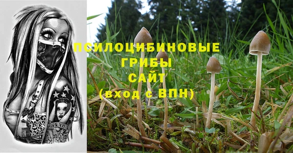 экстази Ладушкин